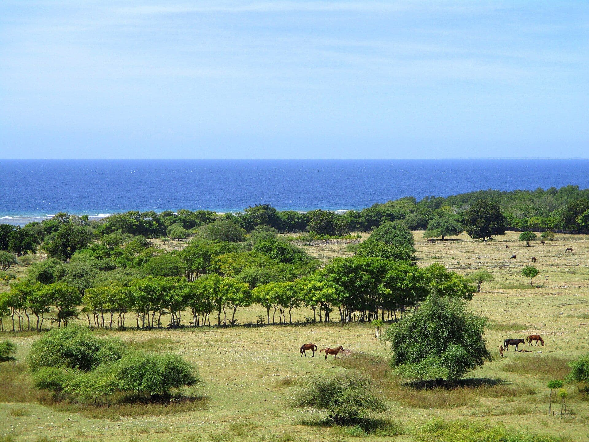 Sumba Savanna Ntt — filming location Indonesia